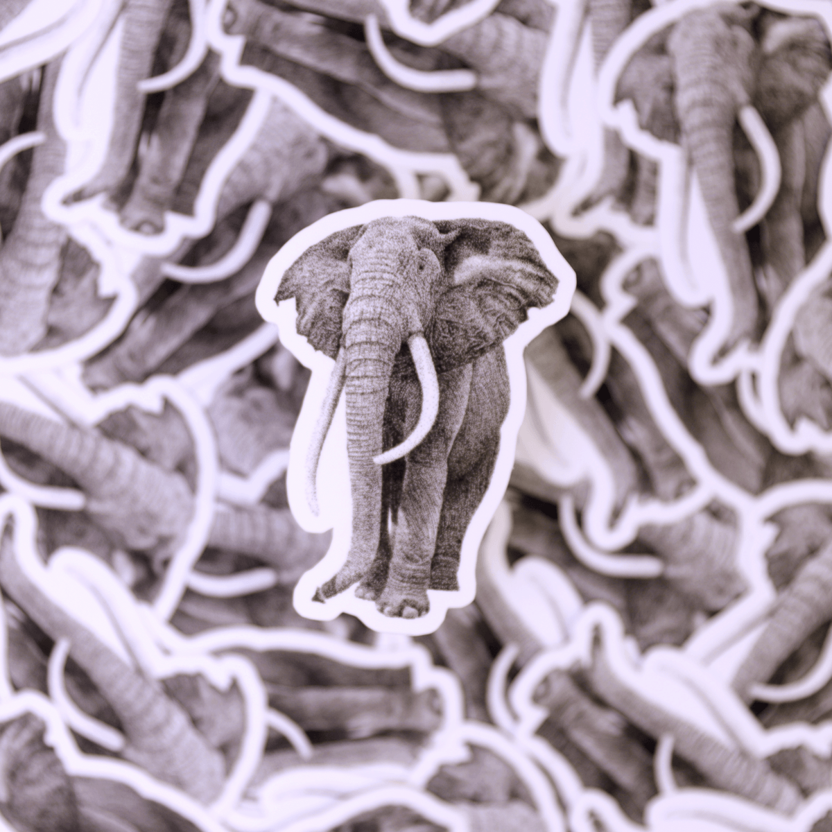 Elephant | Sticker