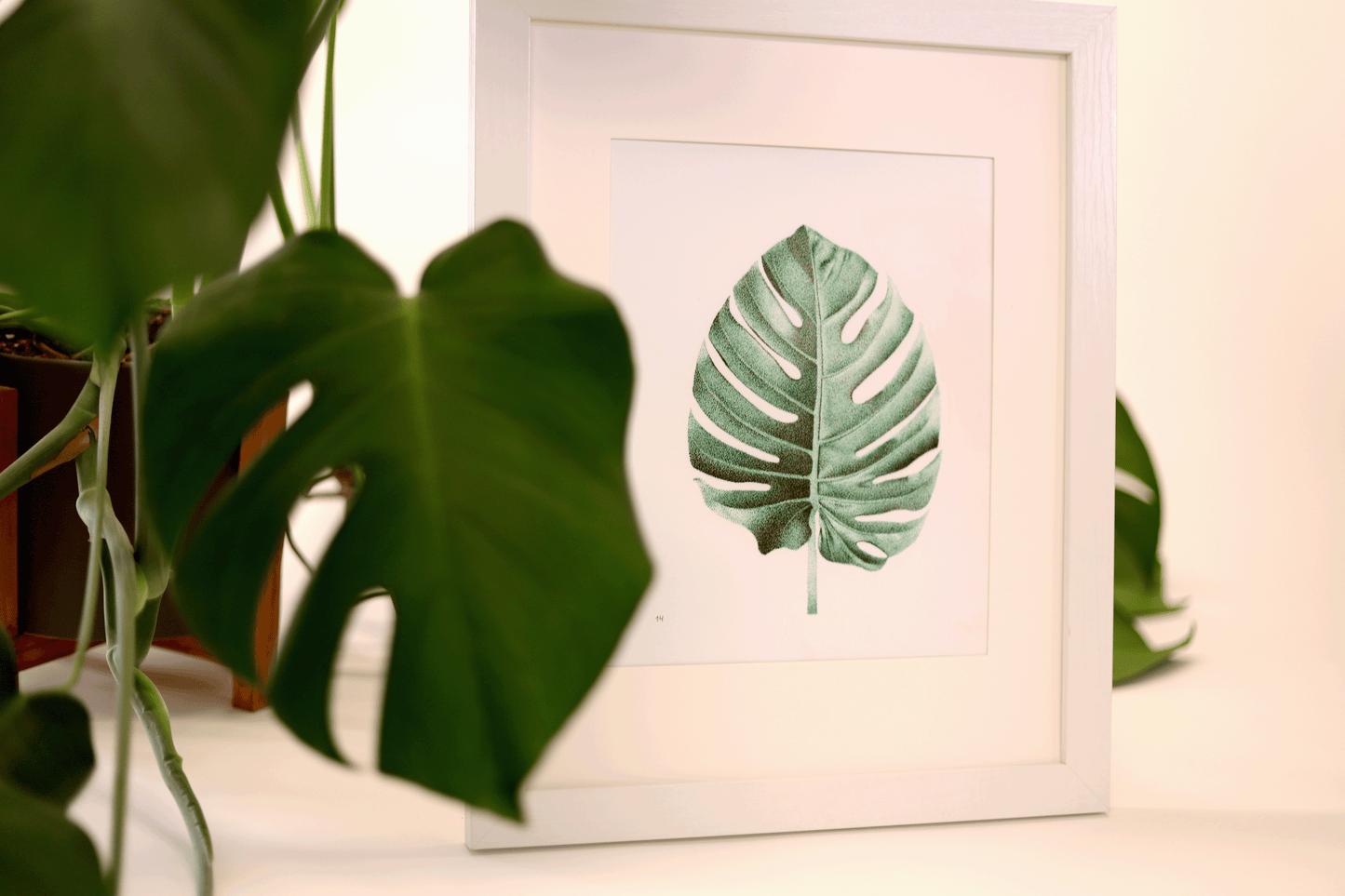 Monstera Print