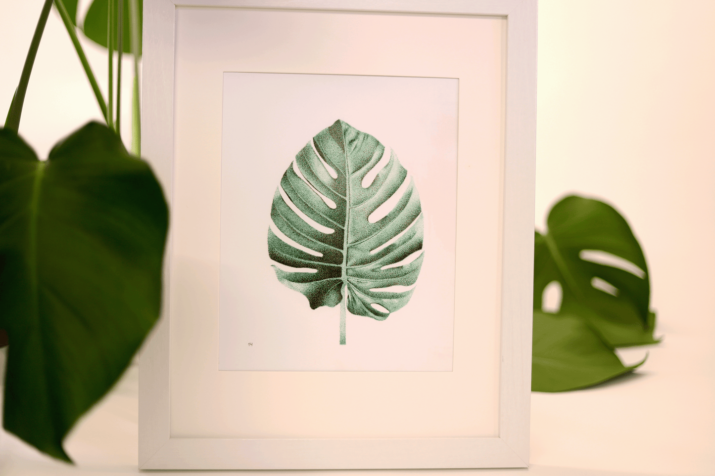 Monstera Print