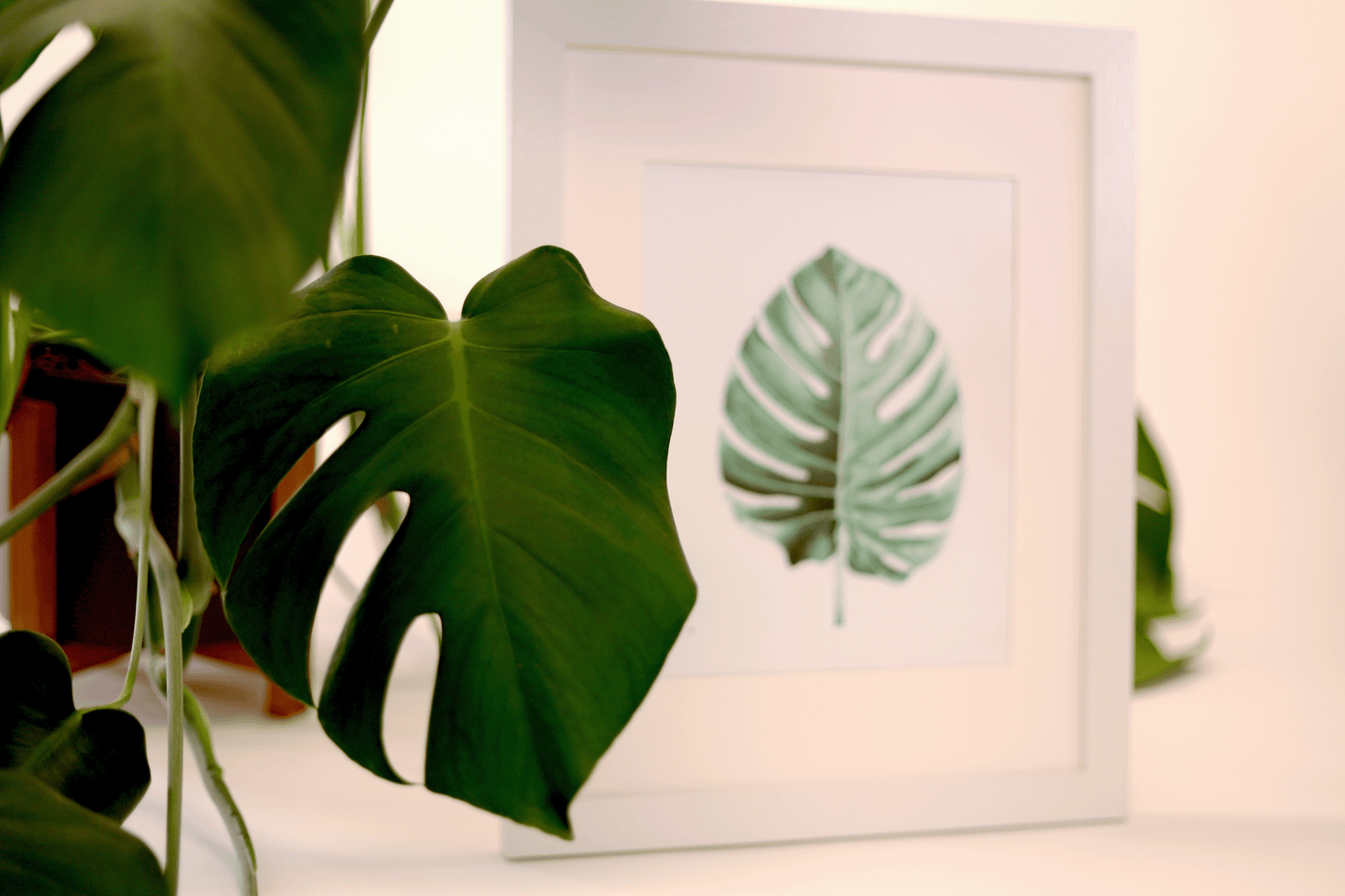 Monstera Print