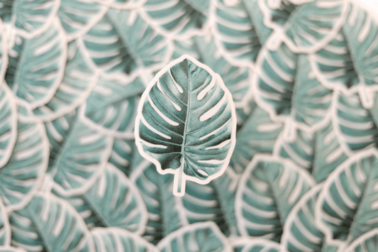 Monstera Sticker