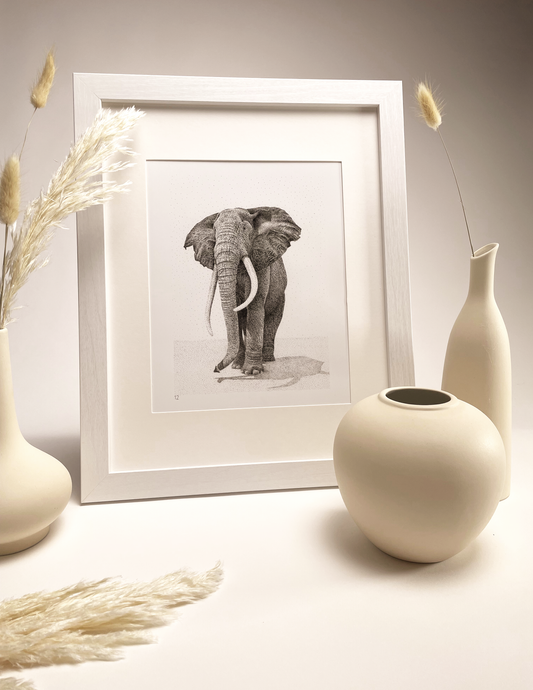 Elephant | Print